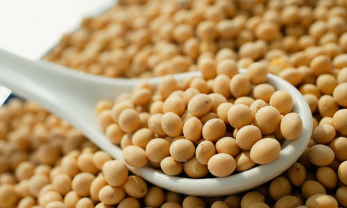 Nâng ngực đẹp tự nhiên